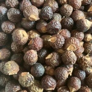 Best Quality Soap Berry