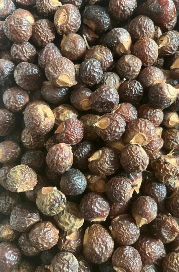 Best Quality Soap Berry