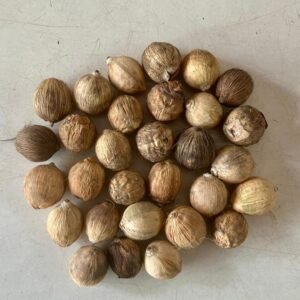 Laghu Coconut