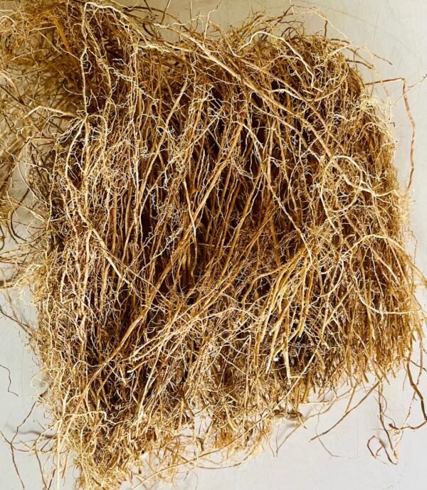 Vetiver Roots