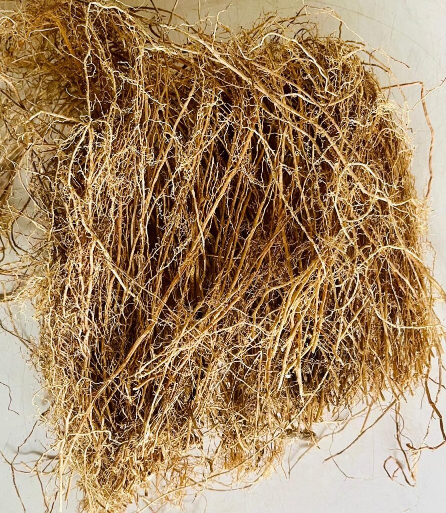 Vetiver Roots
