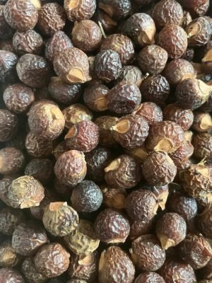 Best Quality Soap Berry