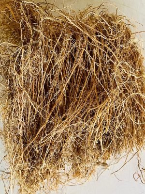 Vetiver Roots