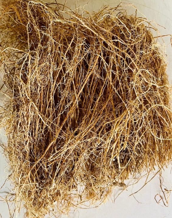 Vetiver Roots